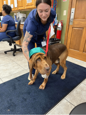 veterinarians (1)